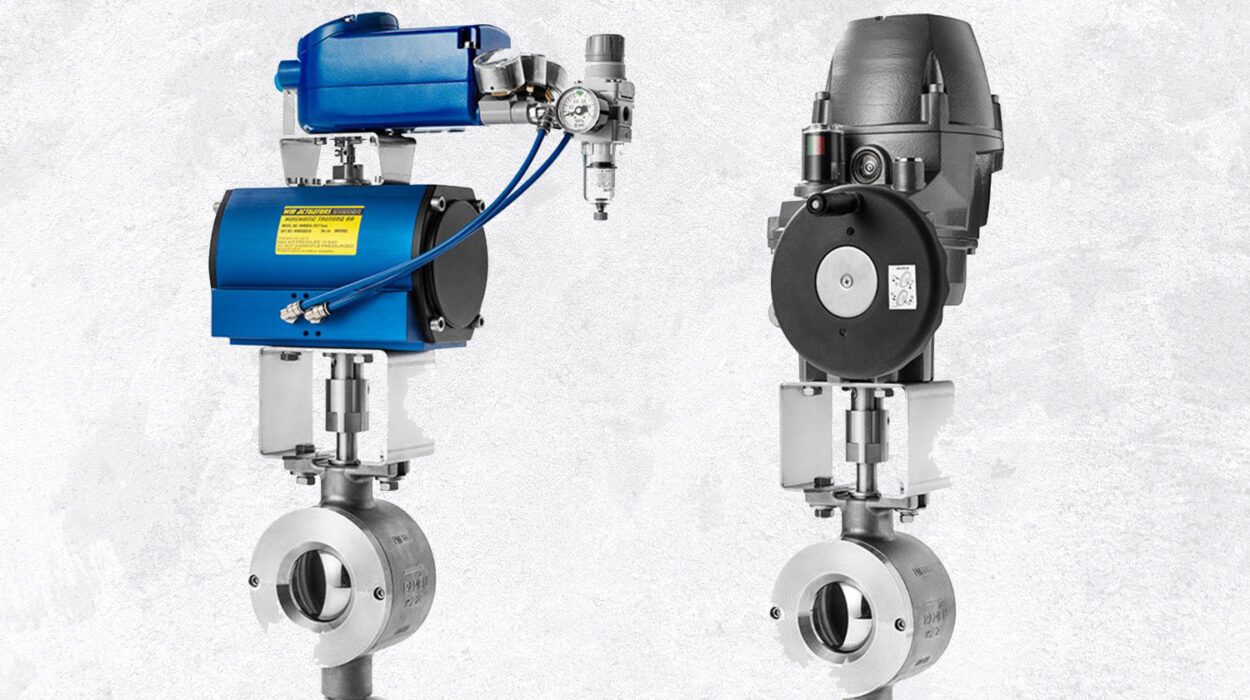 ramén valves